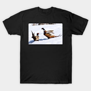 Fighting Pheasants. T-Shirt